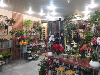 Fleuriste Margot et Nini - Fleuriste et Décoration - 85130; Chanverrie 0