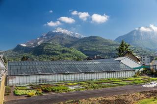 Fleuriste VUILLERMET Horticulteur 1