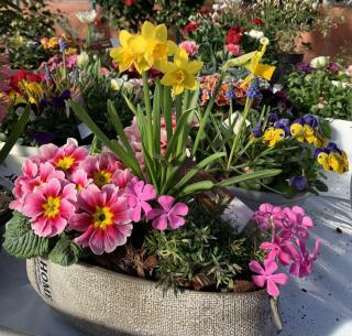 Fleuriste VUILLERMET Horticulteur 0