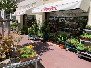 Fleuriste Villa Divine - Fleuriste - Saint Maur des Fossés 0