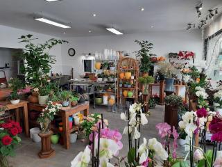 Fleuriste Villa Divine - Fleuriste - Saint Maur des Fossés 0