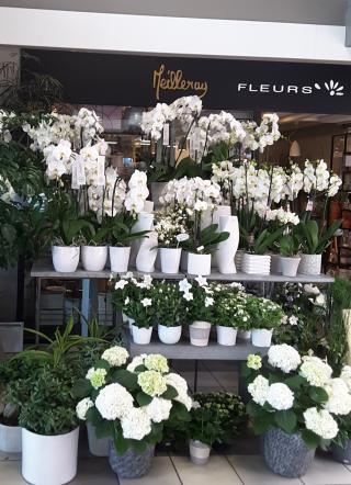 Fleuriste Meilleray Fleurs 1