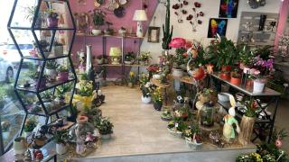 Fleuriste A Fleur de Pôt 0