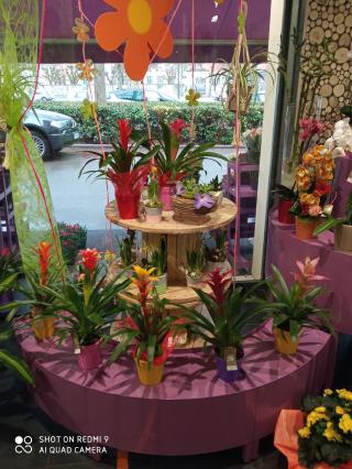 Fleuriste Fleurs de coton 0