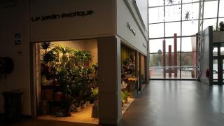 Fleuriste Le Jardin Exotique 2