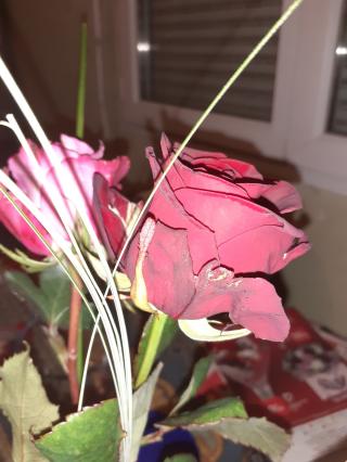 Fleuriste Au Pays des Fleurs 0