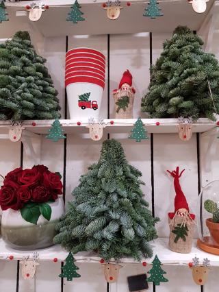 Fleuriste Les fleurs du marché 0