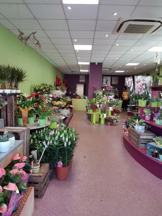 Fleuriste SOLANGE FLEURS 0