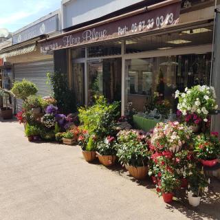 Fleuriste Fleur Bleue Carros 0