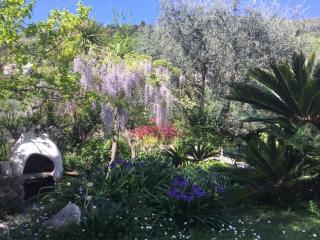 Fleuriste Jardin des Fleurs de Poterie 0