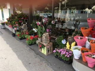 Fleuriste Côté Fleurs Naturellement 0