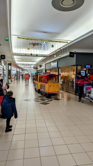 Fleuriste Centre commercial Villabé 1