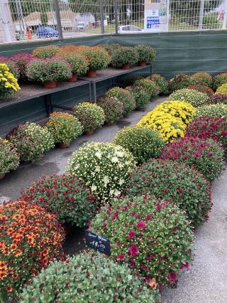 Fleuriste Les Fleurs de la Gare 0