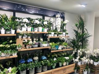 Fleuriste Monceau Fleurs 1