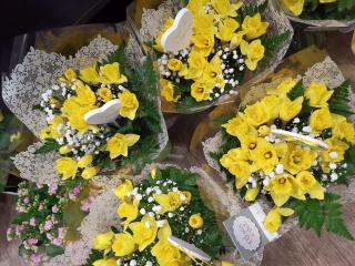 Fleuriste Fleurs de Pot 0