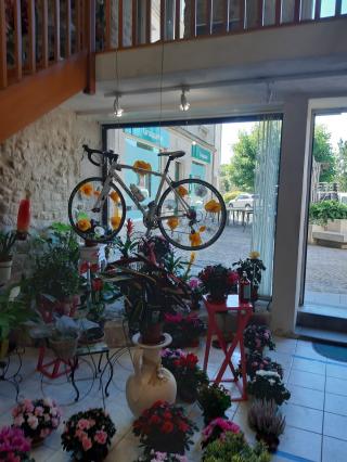 Fleuriste Peyrissaguet Franck 0