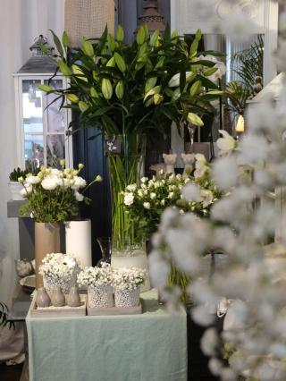 Fleuriste Agapanthe 0