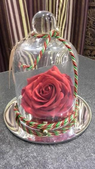 Fleuriste Alpes Fleurs 0