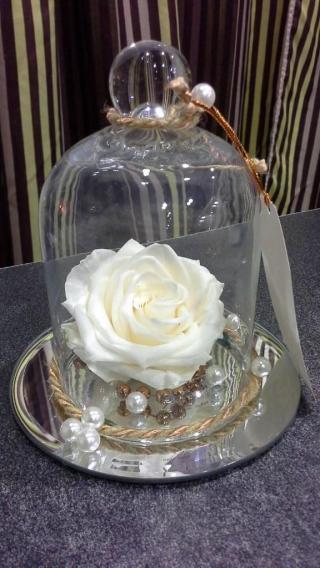 Fleuriste Alpes Fleurs 0