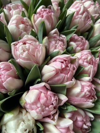 Fleuriste Au Jardin d’Alicéa 2