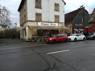 Fleuriste Fleurs Fries 0