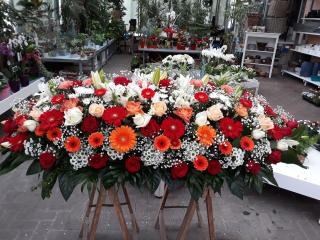 Fleuriste Annie Fleurs 0