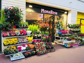 Fleuriste MonaRosa 0