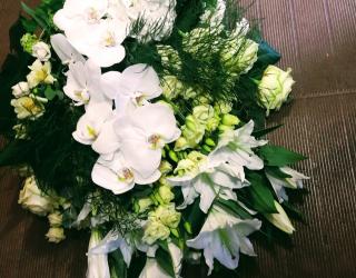 Fleuriste Fleur de cannelle floralova 0