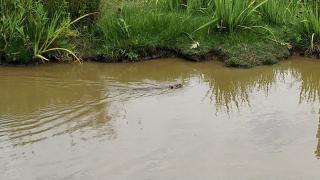 Fleuriste Clairac Drouillard Maryse 0