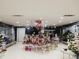 Fleuriste Orange Bleu Fleurs 1