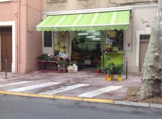Fleuriste Les Vendredis Fleuris Ollioules 0