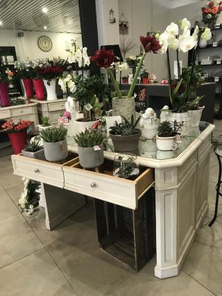 Fleuriste Petite Fleur 0