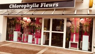 Fleuriste CHLOROPHYLLE 0
