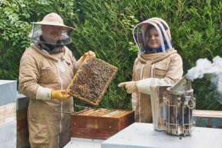 Fleuriste CHRISTOPHE GERVAIS Apiculteur 2