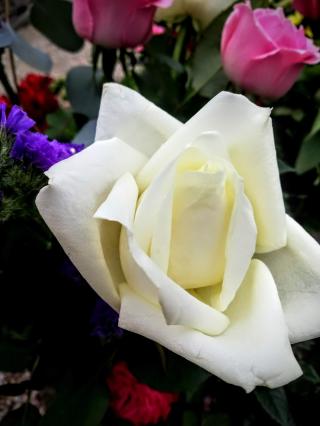 Fleuriste Gérot Fleurs 0