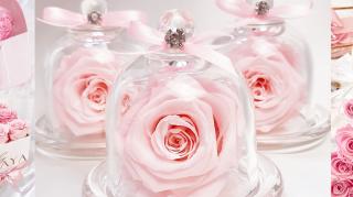 Fleuriste Charmante Rose 0