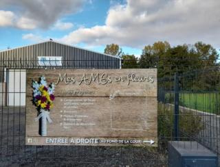 Fleuriste Mes AMEs en fleurs 2