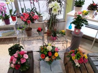 Fleuriste Le Secret d'une Fleur | Fleuriste Lyon 0