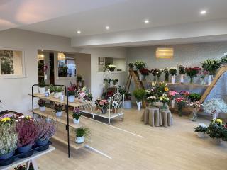 Fleuriste Jardin d’Amélie 0