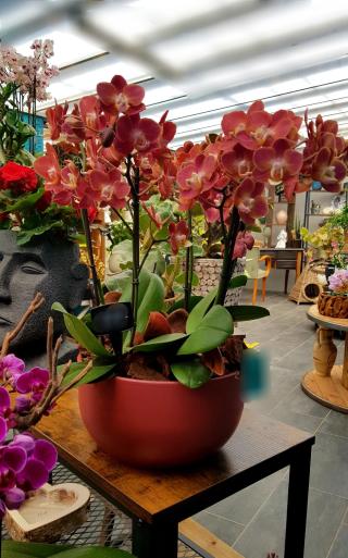 Fleuriste Palette Florale 0