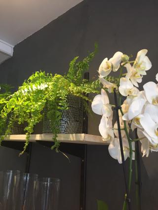 Fleuriste CHLOROPHYLLE 0