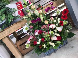 Fleuriste Les Serres Drezet Olivier 0