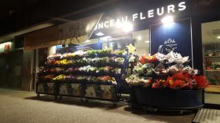 Fleuriste Monceau Fleurs 0