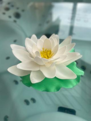 Fleuriste Yuliafleurs 0