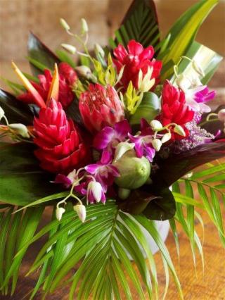 Fleuriste Hibiscus 0