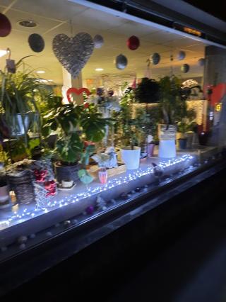 Fleuriste Chlorophylle 0