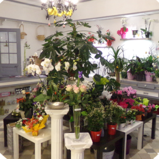 Fleuriste Le Jardin des Sacres, Fleuriste Reims 0