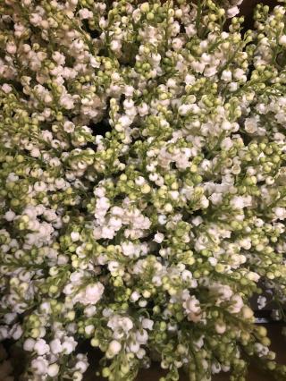 Fleuriste Les Fleurs De Marguerite 0