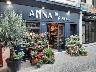 Fleuriste Anna W plantes 0