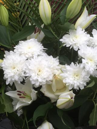 Fleuriste Pompes Funèbres Marbrerie Mathieu Mardoyan Avignon cimetière St veran 0